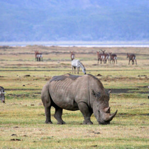 Ngorongoro Crater