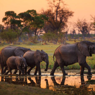 Tarangire National Park