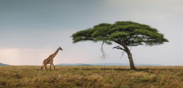 Serengeti National Park