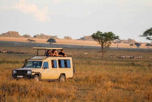3-day budget safari to majestic Serengeti and Ngorongoro Crater