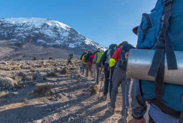8-Day Kilimanjaro Trekking & Safari to Ngorongoro & Tarangire